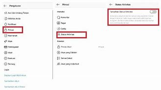 Cara Mematikan Status Aktif Di Ig